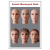 Female European Mannequin Heads wholesale