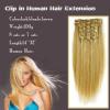 Clip In Hair Extensions 1 wholesale