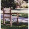 Cedar Arm Chair