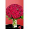 18 Red Long Stem Roses