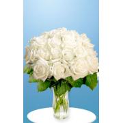 Wholesale 24 White Roses