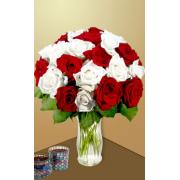 Wholesale 24 Red And White Roses