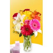 Wholesale Bold And Beautiful