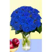 Wholesale 18 Blue Roses