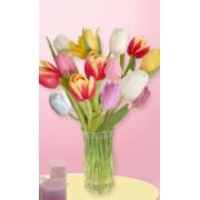 Wholesale 15 Mixed Tulips