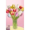 15 Mixed Tulips