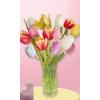 15 Mixed Tulips