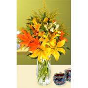 Wholesale Just Because