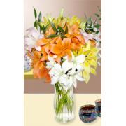 Wholesale Mixed Lilies