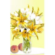 Wholesale Timeless Treasures