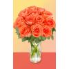 12 Wow Roses
