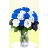 12 Blue and White Roses