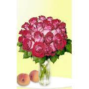 Wholesale 24 Fire And Ice Roses