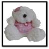 Toy PC Cameras wholesale