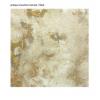 Antique Travertine Tiles wholesale