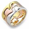 Three Tone Interlocking Rings