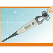 Wholesale Koala Digital Thermometers