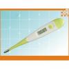 Digital Clinical Thermometers