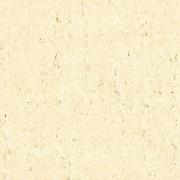 Wholesale Travertino Classico Beige