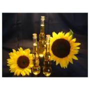 Wholesale Sunflower Oil