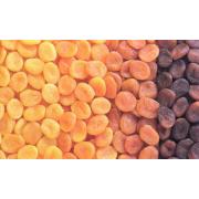 Wholesale Organic Natural Dried Apricots