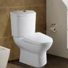 BN Design Dual Flush Toilets wholesale