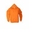 Champion Mens Hooded Fleece Jackets