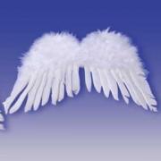 Wholesale Feather Angel Wings