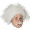 Einstein Wigs And Mustaches Sets wholesale