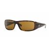 Authentic Ray Ban Sunglasses