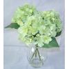 Hortensia X 3 In Water Vase wholesale