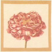 Wholesale Redoute Rose I European Cushion Covers