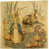 Peter Rabbit II Beatrix Potter  European Cushion Covers
