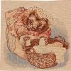 Mrs Tiggy Winkle Beatrix Potter  European Cushion Covers