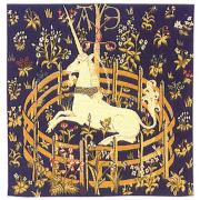 Wholesale Captive Unicorn European Cushion Covers