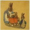 Peter Flopsy Mopsy And Cotton Tail Beatrix Potter European Cushion Covers