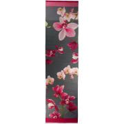 Wholesale Pink Orchids Grey