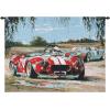 Racing In The USA Wall Hanging Tapestry