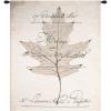 Birch Document Wall Hanging Tapestry