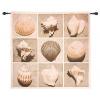 Weathered Shell Sample Tapestry Of Fine Art