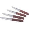 4 Piece Knife Set