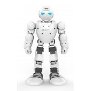 Wholesale Ubtech Alpha 1s 3D Programmable Humaniod Robot