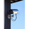 Dummy Camera With Circular Outdoor Housing And Light wholesale
