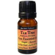 Wholesale 10 Ml Tea Tree Essential Oil 