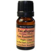 Wholesale 10 Ml Eucalyptus Essential Oil 