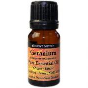 Wholesale 10 Ml Geranium (Egypt) Essential Oil