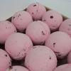 16x Rose & Petals Bath Bomb 