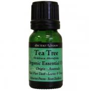 Wholesale Tea Tree Organic Essential Oil 10ml