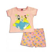 Wholesale GIRLS 2-4 License Princess Short Sets 12pcs