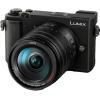 Panasonic Lumix DC-GX9EG-K 20 MP Digital Camera